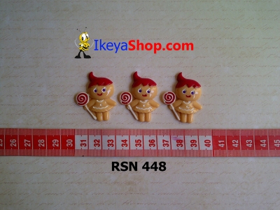 rsn 448  large2